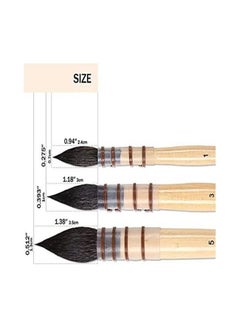 Professional Watercolor Brushes, Art Drawing Round Squirrel Hair Painting Brush Set, Natural Hair Brushes, Gouache Fine Details, Acrylic, Gouache Oil (3 Brushes) - pzsku/ZF26980451A1999B5EBD9Z/45/_/1671904986/90059539-6f1e-4a69-8d48-8615b0149113