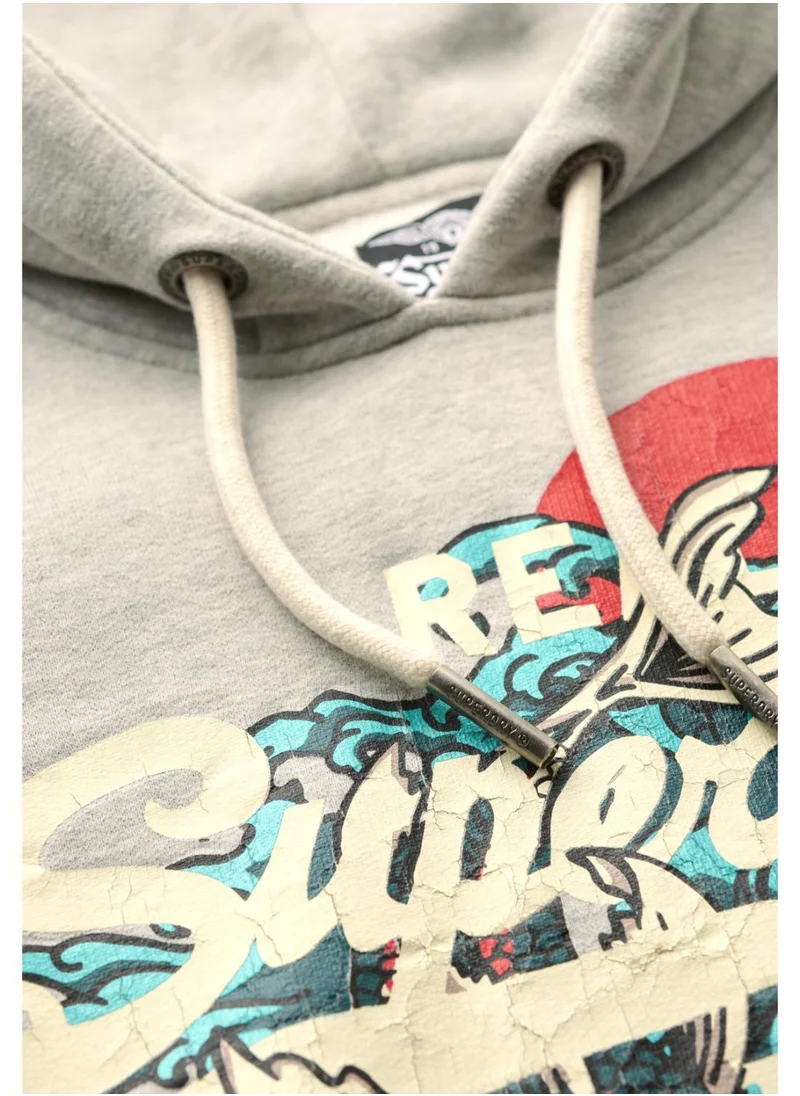 Superdry Tokyo Vl Graphic Hoodie