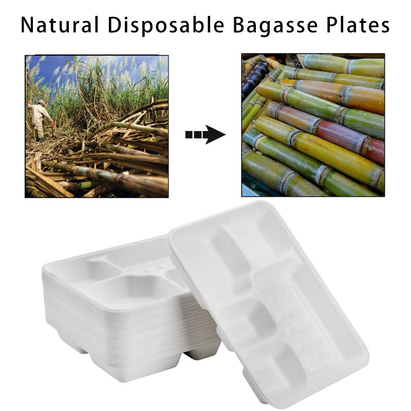 Hacaroa 50 Pack 5-Compartment Compostable Paper Plates  Natural Disposable Bagasse School Lunch Trays  Deep Divided Plates for Party  Picnic  Biodegradable  White - Image 5
