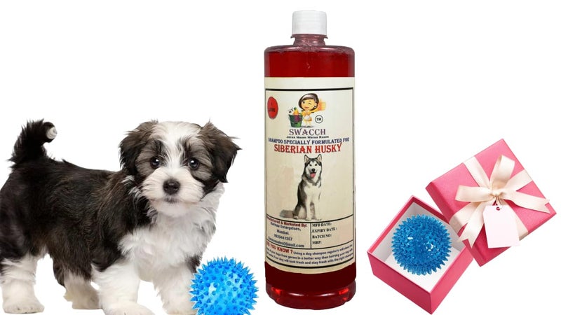 swacch Shampoo | Puppy Safe Shampoo | PH Balanced | Ditch to Itch for Siberian Husky Dog Shampoo 1 Litre (Strawberry) + Spike Ball Chew Toy Combo Pack - Image 1