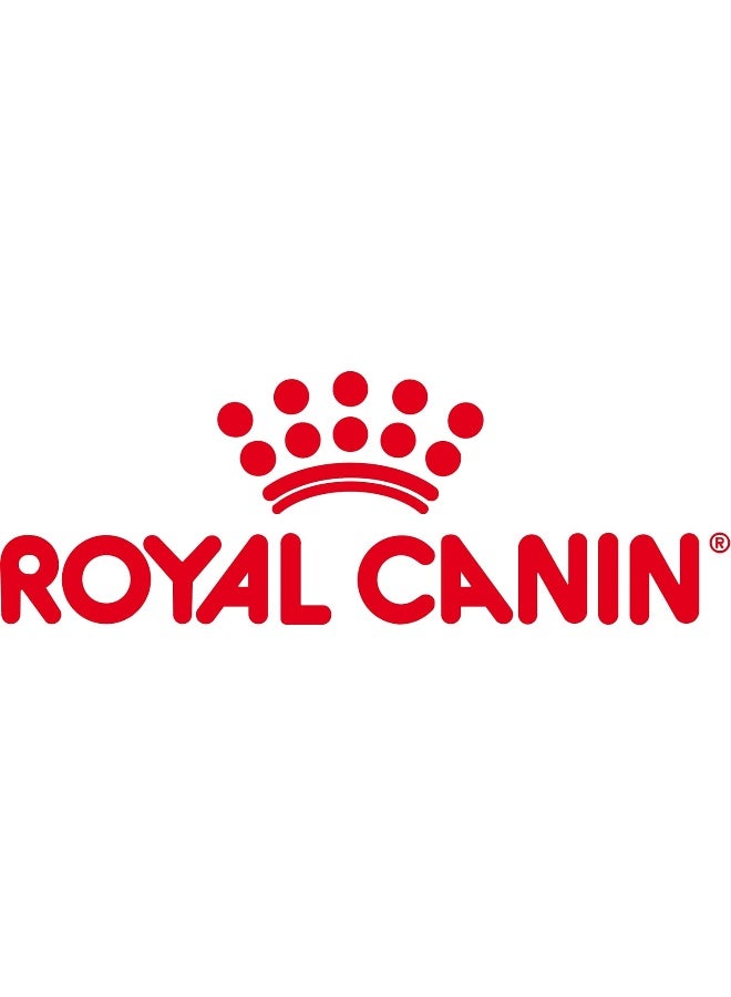 ROYAL CANIN رويال كانين للتغذية الصحية للقطط كبار السن +12 صلصة 12X 85 جرام طعام رطب للقطط - Image 2