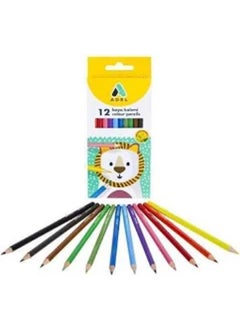 Dry Paint Cardboard Box Full Size 12 Colors