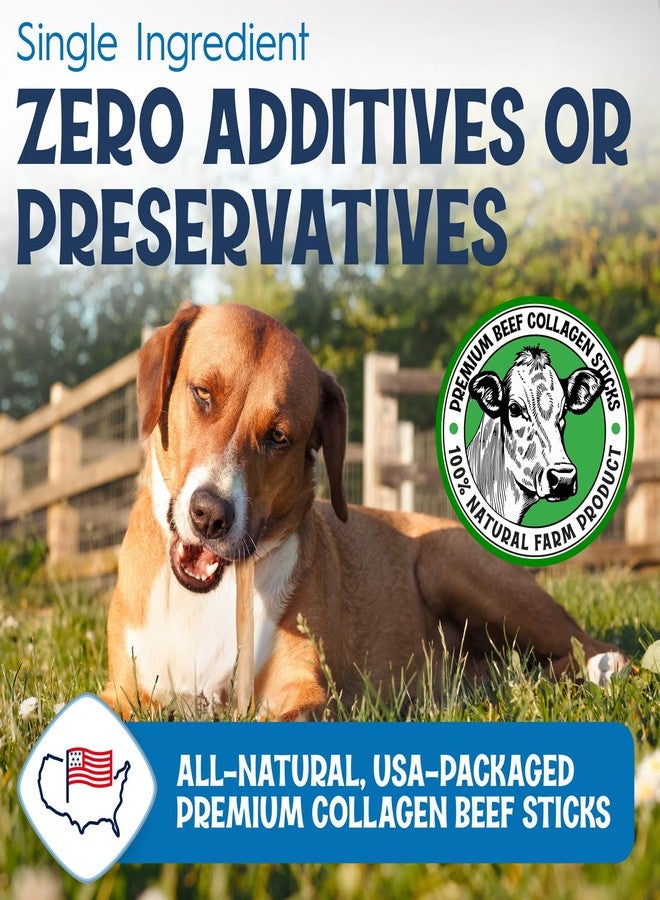 FETCHERONI 12" Collagen Sticks for Dogs – Low Odor Long-Lasting Bully Stick & Rawhide Alternative, Single Ingredient Beef Bone, High Protein Dental Treat, Vet Approved, Improves Joint Health – 5 Pack - Image 3