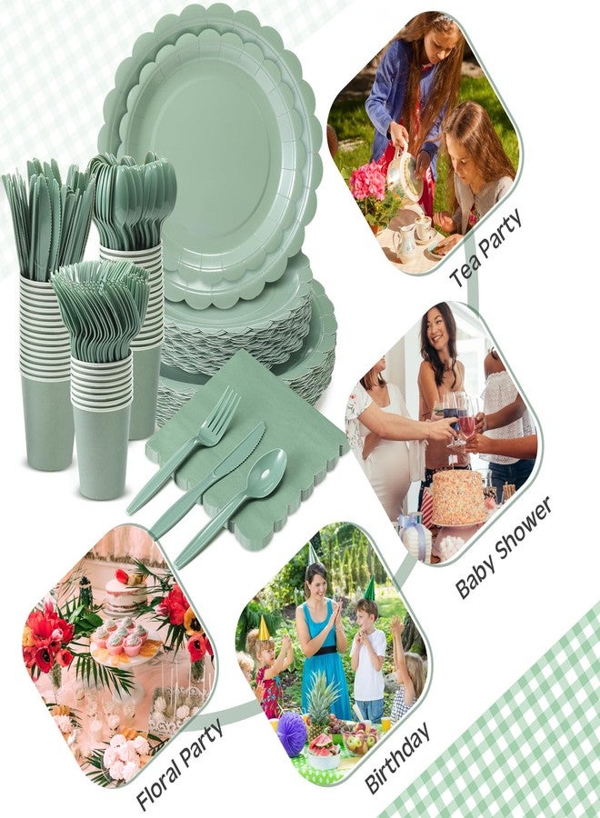 Ziliny 350 Pcs Sage Green Plates and Napkins, 50 Guest Spring Party Supplies Include Scalloped Paper Plates Napkins Cups Plastic Spoons Forks Knives Disposable Tableware Set for Baby Shower - Image 3