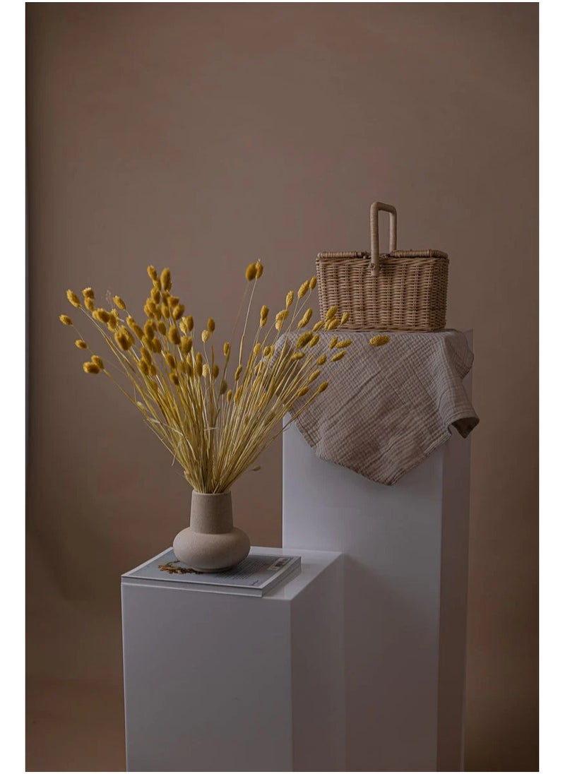 ماركة غير محددة الفالاريس المجفف الأصفر 50  - Image 5