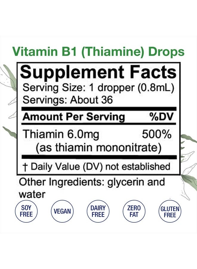 HoneyCombs Vitamin B1 (Thiamine) Drops - High Potency Thiamine Vitamin B1 Extract - Vegan, Alcohol-Free Non-GMO Vitamin Liquid - Maintain Nervous System Health, Support Digestion & Boost Energy, 1 Fl Oz. - Image 2