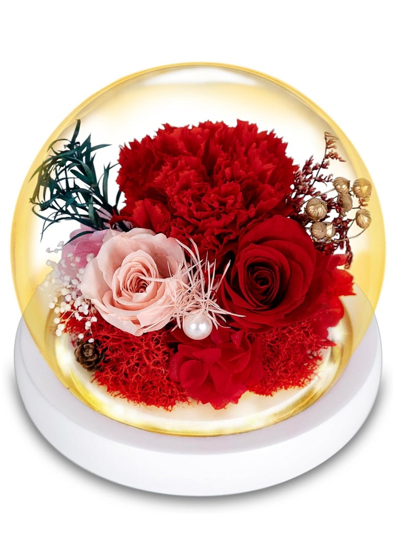 SYOSI زهور حقيقية دائمة للطبيعة، هدية زهرية فريدة لك لإرسال الحب لجميع المناسبات، ديكور داخلي (قرنفل أحمر، وردة وردية، وردة حمراء) - Image 1