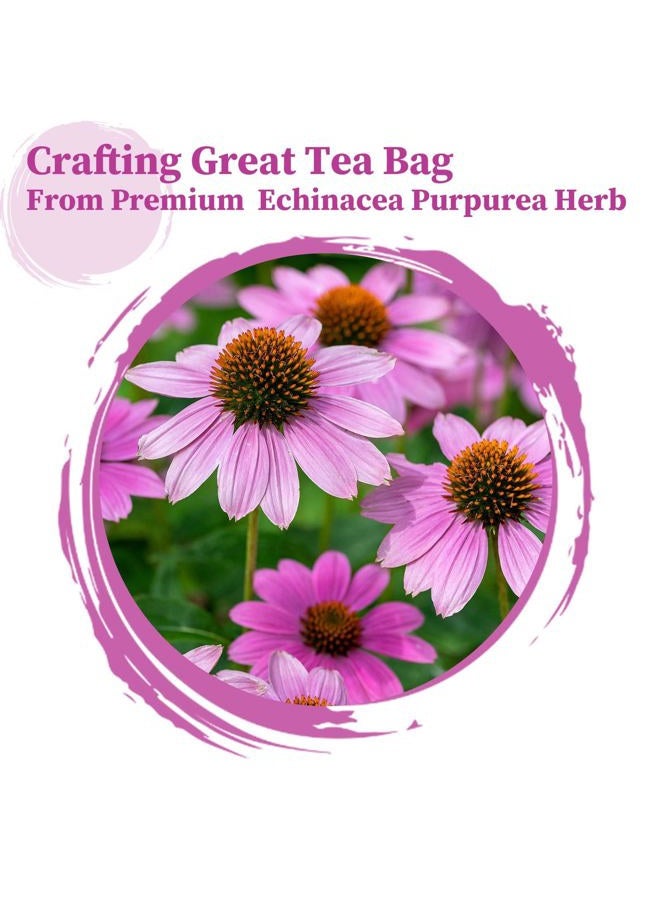 FullChea Echinacea Tea Bags, 50 Count, 2g/bag - Premium Echinacea Purpurea Herb - Non-GMO - Caffeine-free - Aid Digestion & Boost Immunity - Image 2