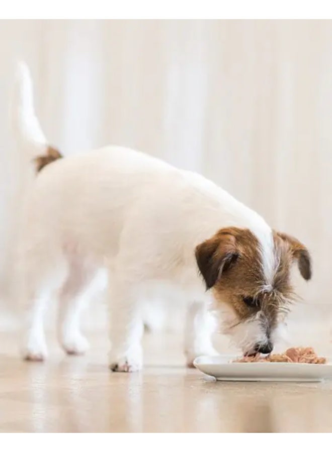 شيسر شرائح دجاج مع التفاح، طعام رطب للكلاب، 150 غرام (10 قطع) - Image 5