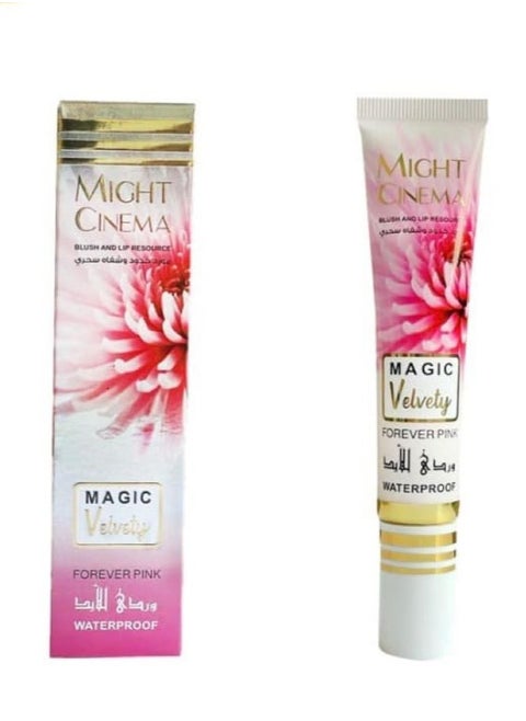 Magic pink blush and lip resource waterproof