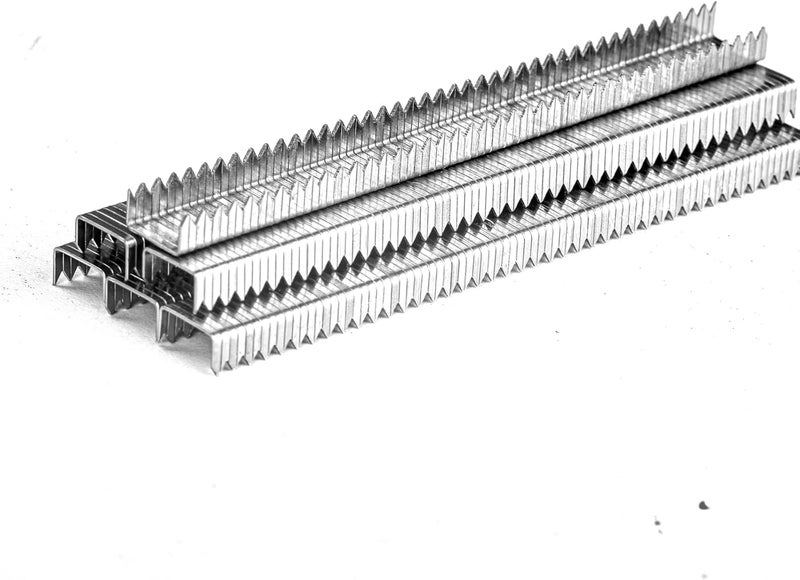 SITLDY 5/16 Inch Length Beveled Chiseled Pointed Heavy Duty T50 304 Stainless Steel Staples 2000-Count, A11 20 Gauge for Pneumatic, Electric T50 Stapler - Image 1
