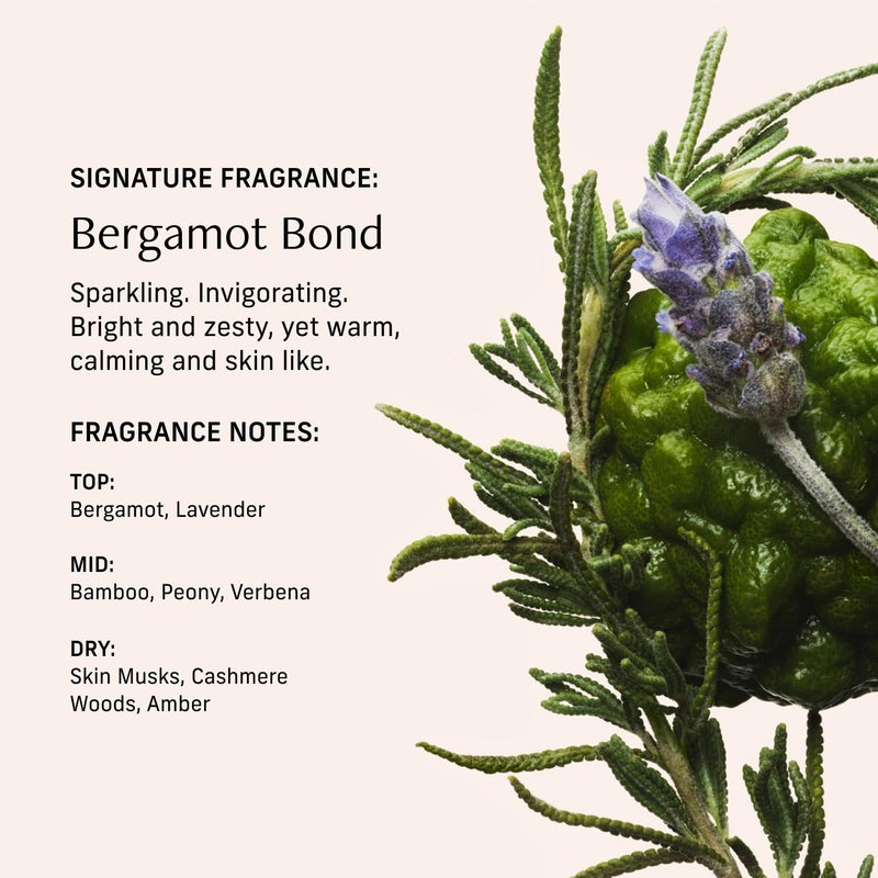 CYKLAR Perfume Oil for Skin â€“ Bergamot Bond Scent â€“ Bright, Zesty & Warm Perfume Fragrance with Bergamot, Verbena & Cashmere Notes â€“ 30ml - Image 4