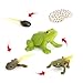 Hvogvok Frog Growth Cycle Animal Growth Cycle Biological Model Growth Stage Lifelike Frog Life Cycle Model Set for Kids Education Insect Themed Party Favors - Image 4
