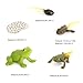 Hvogvok Frog Growth Cycle Animal Growth Cycle Biological Model Growth Stage Lifelike Frog Life Cycle Model Set for Kids Education Insect Themed Party Favors - Image 2