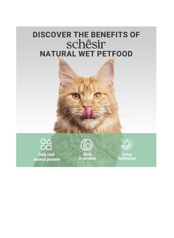 شيسر شيسير مكملات طعام القطط الرطب في الجيلي – دجاج مع قاروص 70 جم [الحد الأدنى للطلب: 12 قطعة] - Image 5