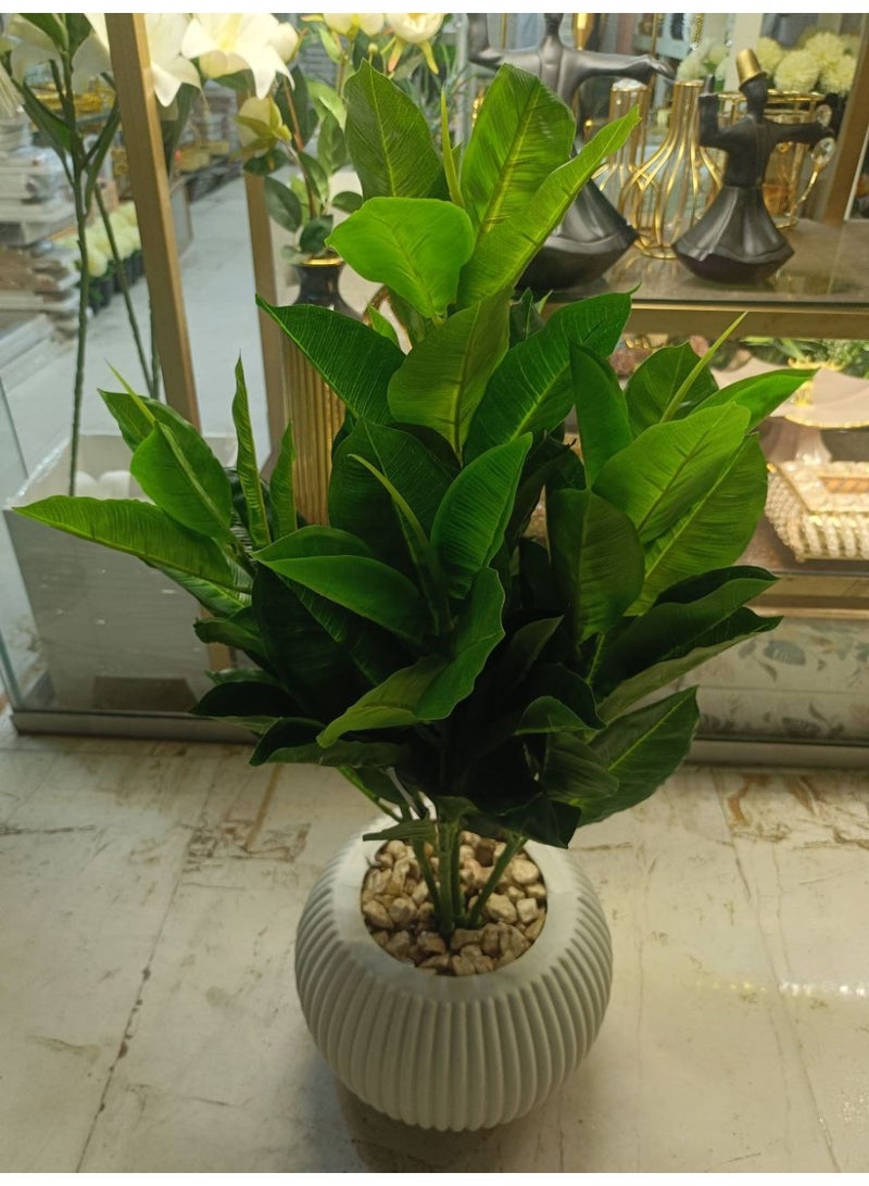 An elegant ornamental mango tree with dense, glossy green leaves that add a natural touch to any space. Easy to clean, suitable for office and home decor, it adds a distinctive look and provides a sense of well-being. Size: 75 cm - Image 2