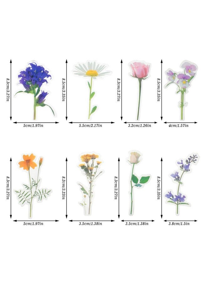 بينج شاو ماي 160 قطعة من ملصقات الزهور الطبيعية للقصاصات، ملصقات ذاتية اللصق للقصاصات، لوازم المجلات لصنع البطاقات للكبار، حروف DIY (نمط مختلط A) - Image 1