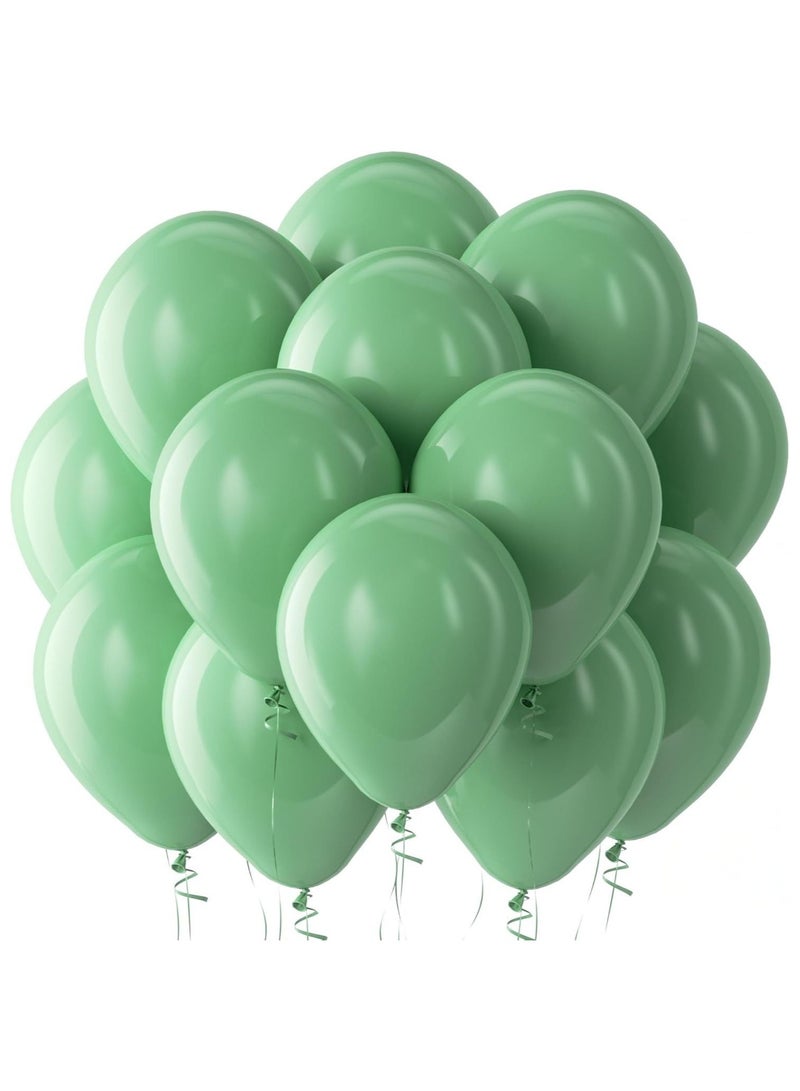 هوم زون عبوة من 100 بالون هيليوم دائري مقاس 12 انش بلون اخضر مريمي لحفلات اعياد الميلاد بطابع الغابة والسفاري وحفلات الزفاف - Image 1