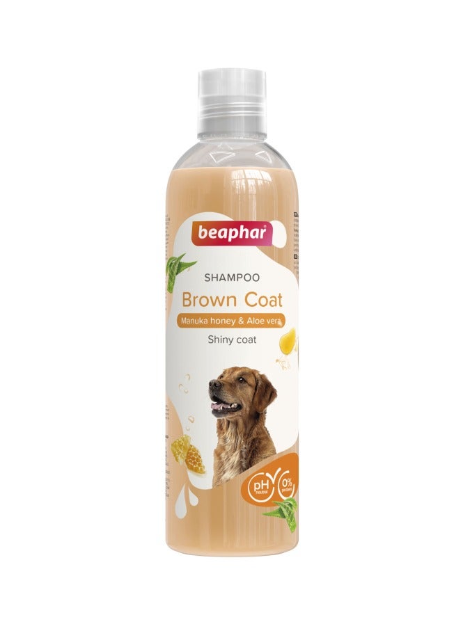 بيفار شامبو بيبهار للشعر البني بور توكس 250 مل