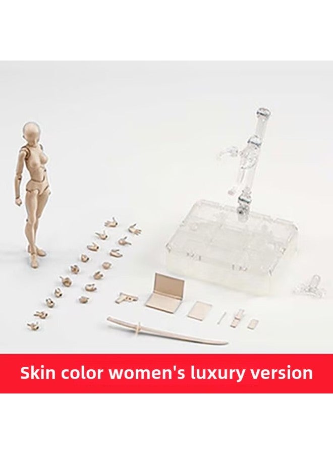 SHF Human Body Model Plain Body Hand Figure Freeze-frame Movable Drawing Painting Art Cartoon Sketch Men And Women-Color:Women With Shf Skin Color  - Image 1