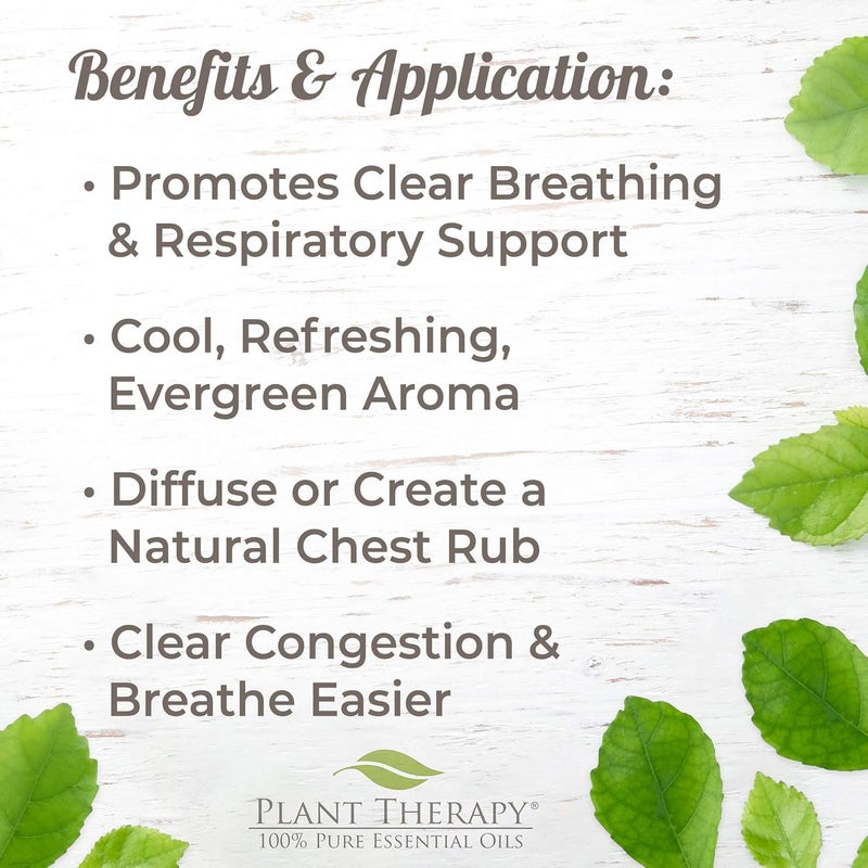 Plant Therapy Respir Aid Essential Oil  Sinus Airway and Congestion Clearing Synergy Blend 100 Pure PreDiluted RollOn Natural Aromatherapy Therapeutic Grade 10 mL 13 oz - Image 2