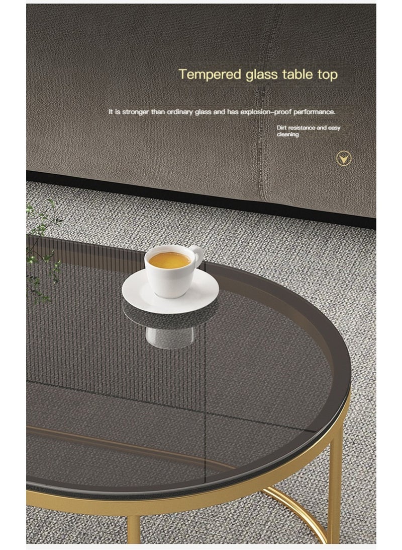 l'elefante 2-Piece Modern Glass Coffee Table Set – Tempered Glass Top with Gold Metal Frame – Oval Table (100×50×45 cm) + Round Table (60×50 cm) – Fully Assembled, No Installation – Luxury Living Room, Majlis & Office Center Tables  - Image 5