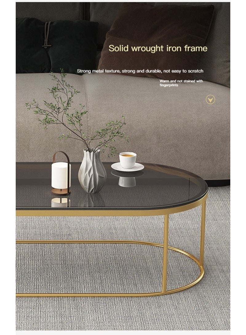 l'elefante 2-Piece Modern Glass Coffee Table Set – Tempered Glass Top with Gold Metal Frame – Oval Table (100×50×45 cm) + Round Table (60×50 cm) – Fully Assembled, No Installation – Luxury Living Room, Majlis & Office Center Tables  - Image 4