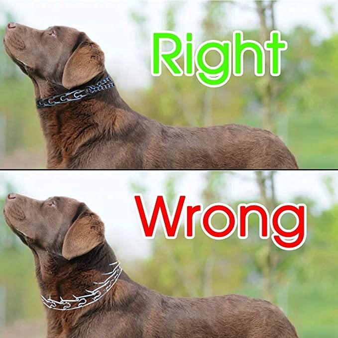 Pet 22 Inch Prong Collar Pet Pinch Training Collar - No Pull Stainless Steel Chrome Plated Chain Collar for Dogs