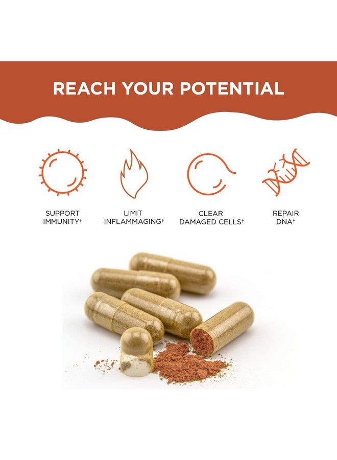Healthycell Anti-Aging Supplement for DNA Repair and Stem Cell Health, AC-11 - Bioactive Extract of Uncaria Tomentosa (Cat’s Claw) Supports a Healthy Immune System - Vegan, Soy-Free & Gluten-Free - Image 2