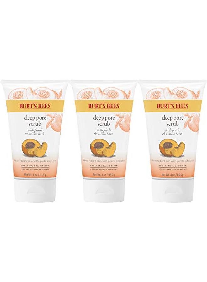 Burt's Bees Exfoliating Face Wash Deep Pore Facial Cleanser Exfoliator With Willow Bark 4 Ounce (Pack Of 3) (Packaging May Vary) - Image 1