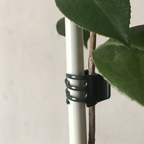 Vtete 50 PCS Large Size Orchid Clips and Garden Support Clips Green (Not with Flower and Plant Spike) - Image 4