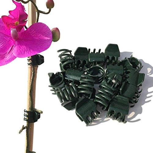 Vtete 50 PCS Large Size Orchid Clips and Garden Support Clips Green (Not with Flower and Plant Spike) - Image 1