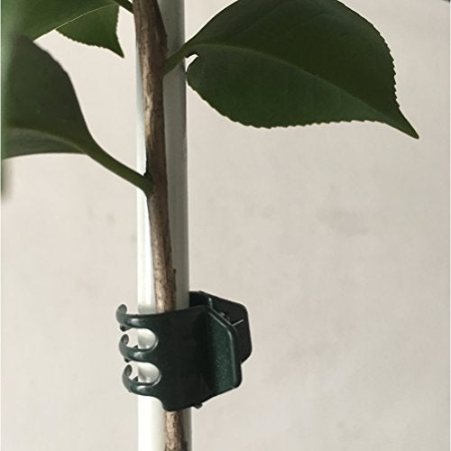 Vtete 50 PCS Large Size Orchid Clips and Garden Support Clips Green (Not with Flower and Plant Spike) - Image 3