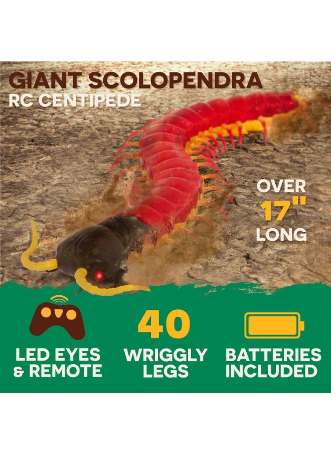 Terra Remote Control Centipede – Giant Scolopendra With Led Eyes  - Image 2
