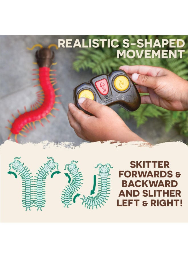 Terra Remote Control Centipede – Giant Scolopendra With Led Eyes  - Image 3