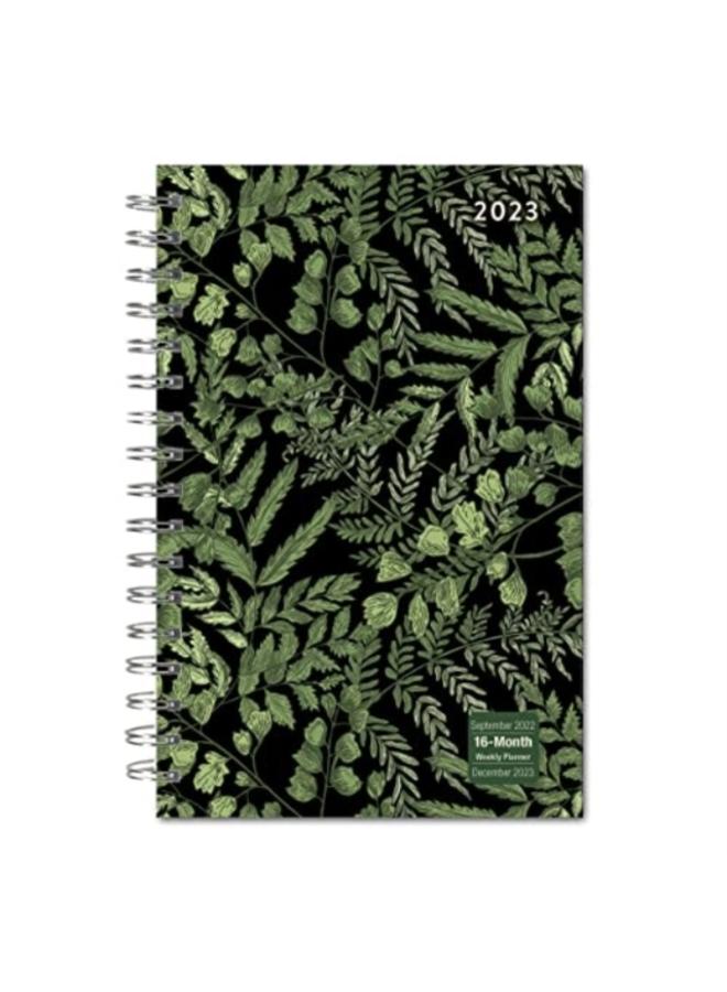 DESIGNER FANCY FERNS 