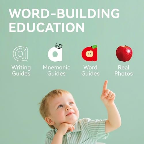Dotimo kids Dotimo Alphabet Picture Mnemonic Cards 26 Uppercase Lowercase Letter Learning Cards for Kids Letter Cognition ABC Montessori Early Learning Tool for Toddlers Classroom Home Activity - Image 5