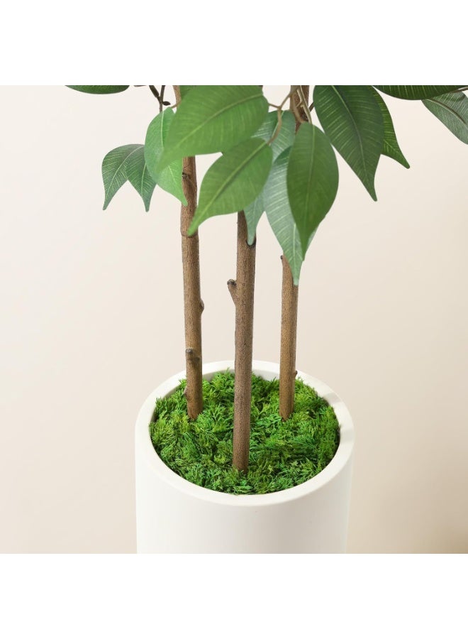 Beauenty Artificial Tree, Artificial Ficus Tree With Natural Wood Trunk And Perfect Lifelike Plastic Leaves, Artificial Tree For Modern Home Decoration Indoor And Outdoor,Office (MFM, 150CM) - Image 5