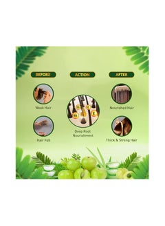 Dabur Amla Advanced Hair Oil 270 ml | With 97% Hair Fall Reduction for Long, Strong & Beautiful Hair | Infused Amla, Aloe Vera Vitamin B5  - Image 3