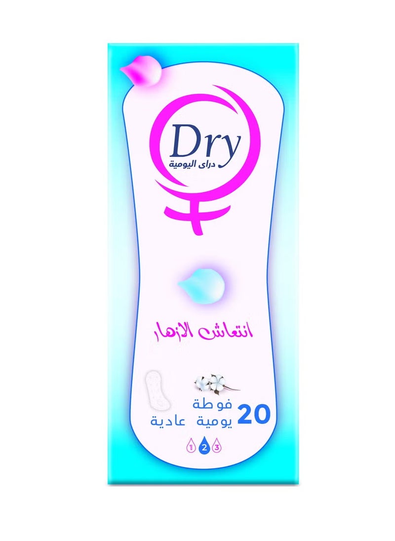 Dry Daily Floral Fresh Sanitary Pads for Daily Use (20 Pads) 2 Pack Offer 