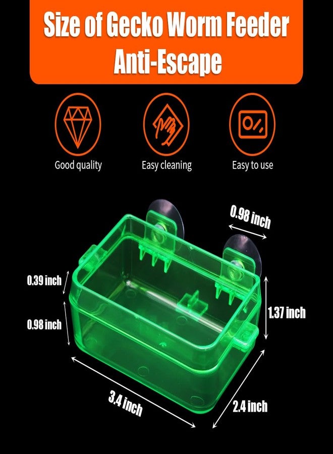 APlayfulBee Reptile Feeder Chameleon Bowl 2 Pcs Anti-Escape Food Dish Bowl with Suction Cup for Chameleon Iguana Lizard Reptile Food and Water Feeding (Green, S) - Image 2