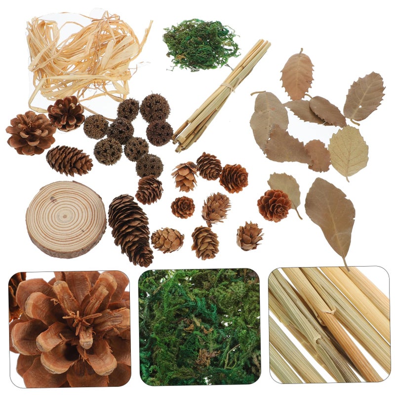 Vintage Pine Leaf Decor Set For Food Photography Bakery Shop Background Props - Image 5