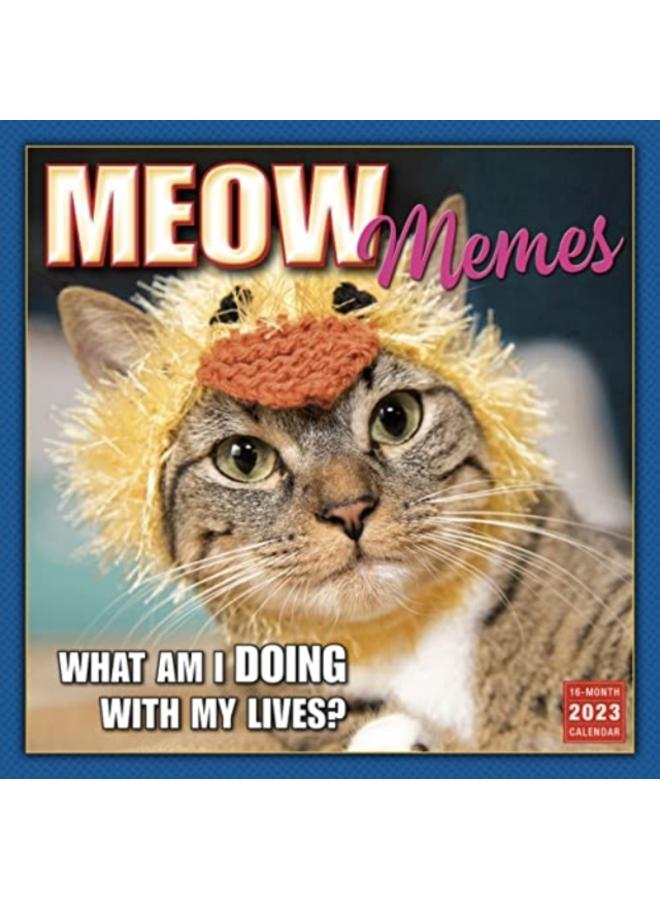MEOW MEMES 