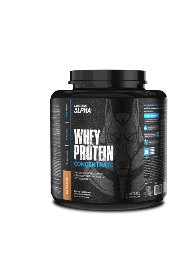 Alpha Whey Protein Concentrate - Caramel - pzsku/ZF292FBFEE988BE9AA28FZ/45/_/1720945594/df4f8e7b-9670-4d7e-a229-5dce594551c5