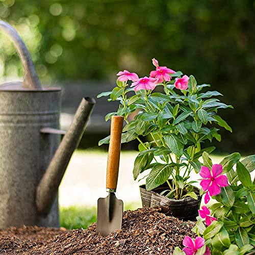 Oblivion Gardening Tool Set 4 Pcs – Pruner Shears, Hand Cultivator, Trowel & Fork with Wooden Handle for Planting, Weeding, Pruning & Soil Maintenance, Farming Equipment & Essential Garden Kit - Image 4