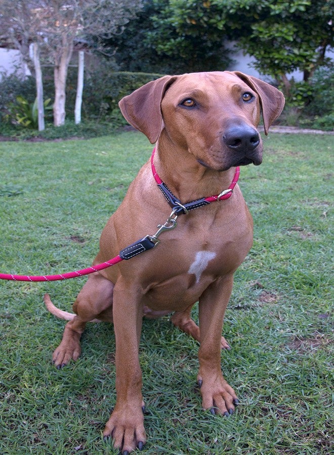 Rogz Reflective Rope Dog Control Leash for Large Dogs, 5/8" Wide, 6' Long, Red - Image 3