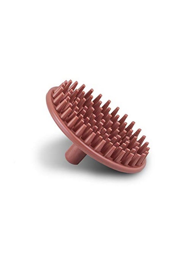 Campbell'S® Shampoo Brush And Scalp Invigorator - pzsku/ZF2966D5D3AE2C588F5DDZ/45/_/1696663844/490cbd79-3777-4978-ad93-6b5aff4c4f71