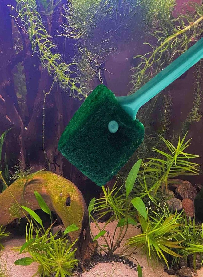 AOODOOM 3 PCS Double-Sided AOODOOM Aquarium Fish Tank Algae Cleaning Brush with Non-Slip Handle, Sponge Scrubber Cleaner for Glass Aquariums and Home Kitchen - Image 4