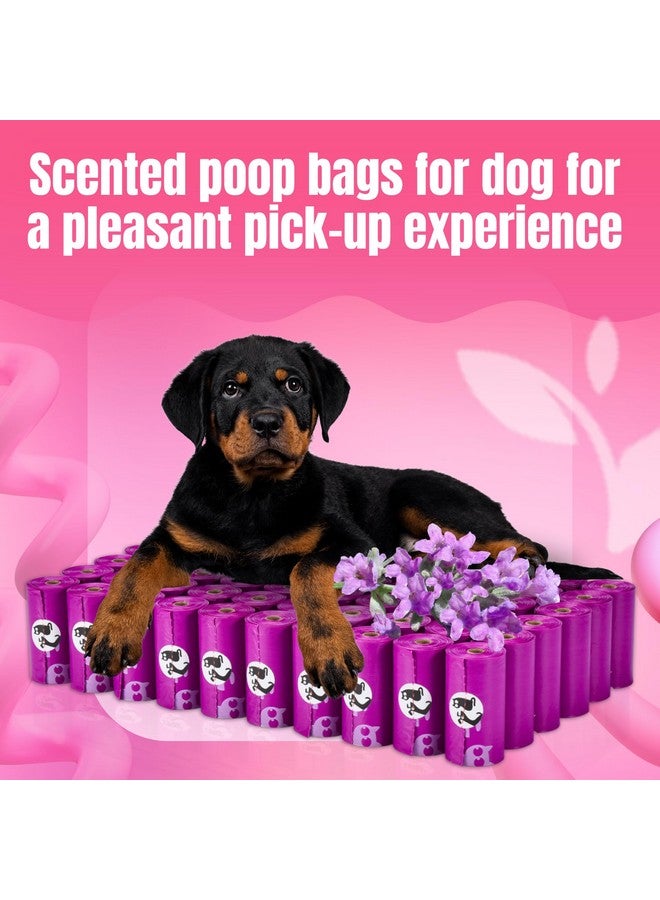 بت آن بت أكياس فضلات الكلاب من Pet N Pet، 960 كيسًا برائحة اللافندر، معتمدة من وزارة الزراعة الأمريكية، 38% نباتية و62% بولي إيثيلين، كيس فضلات الكلاب - Image 3