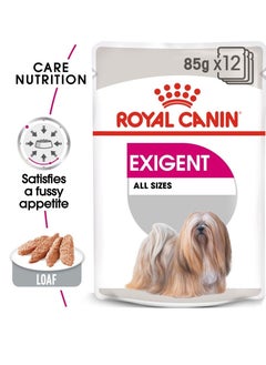 ROYAL CANIN CARE NUTRITION EXIGENT DOG WET FOOD- 12 POUCHES - pzsku/ZF29D6548393A4F5EC1BAZ/45/_/1660085882/d1716cca-dded-4a35-8207-9e38f7da73cd